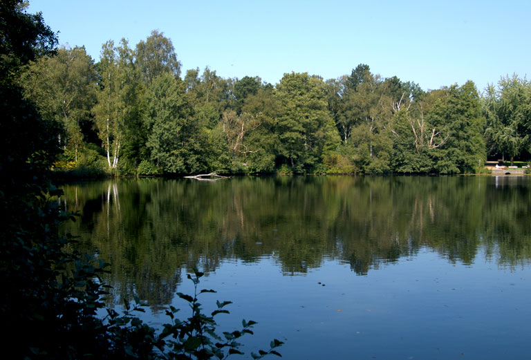 Prökelmoor-Teich Ohlsdorf