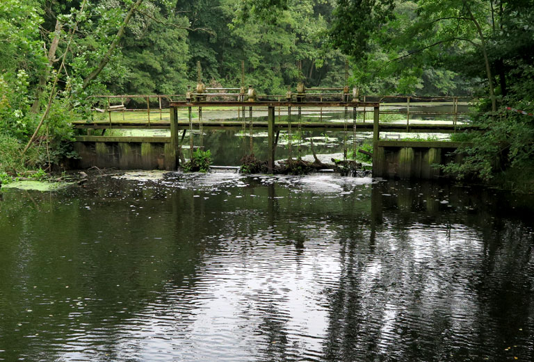 Wohldorfer Brook
