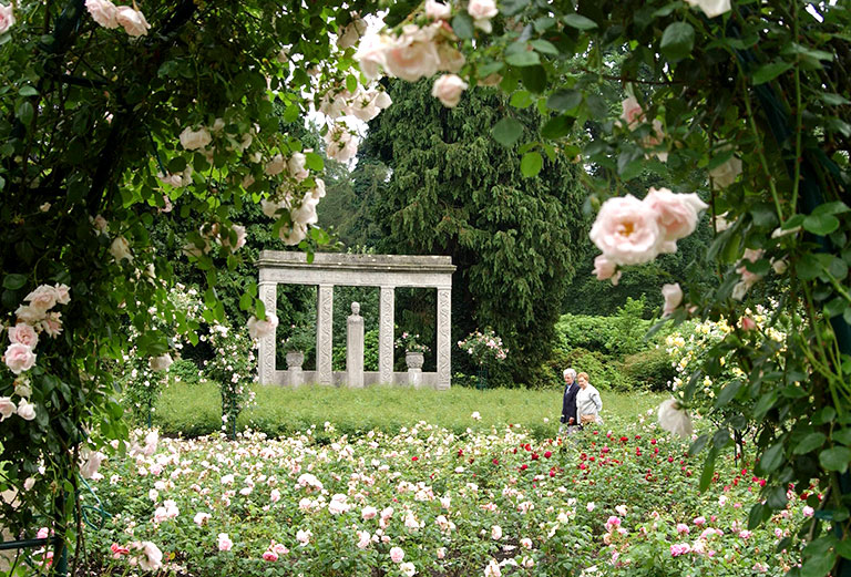 Cordes Denkmal im Rosengarten