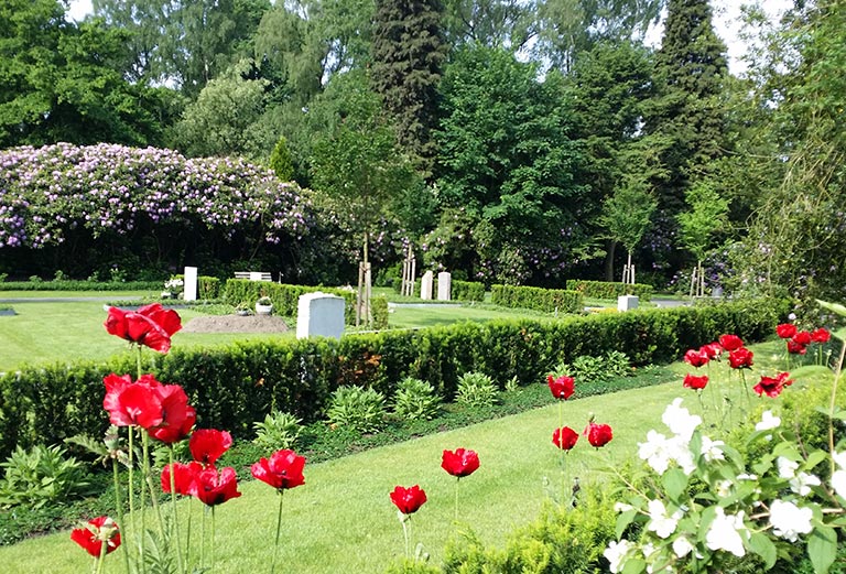Friedhof Ohlsdorf / Am Blumenband