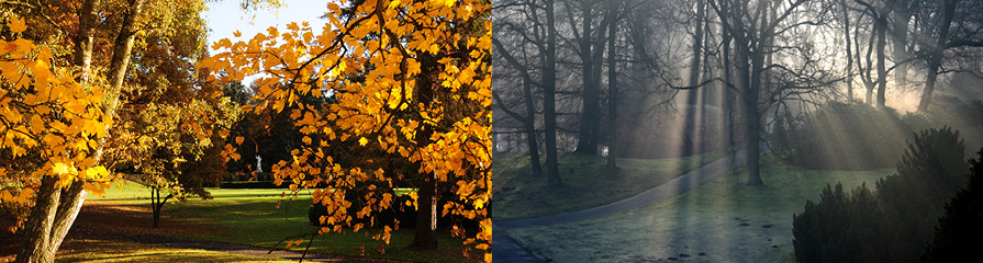Althamburgischer Gedächtnisfriedhof / Parklandschaft