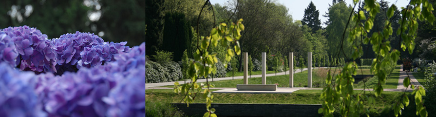 Friedhof Ohlsdorf Linne-Denkmal