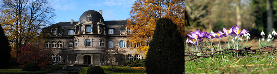 Friedhof Ohlsdorf Verwaltung