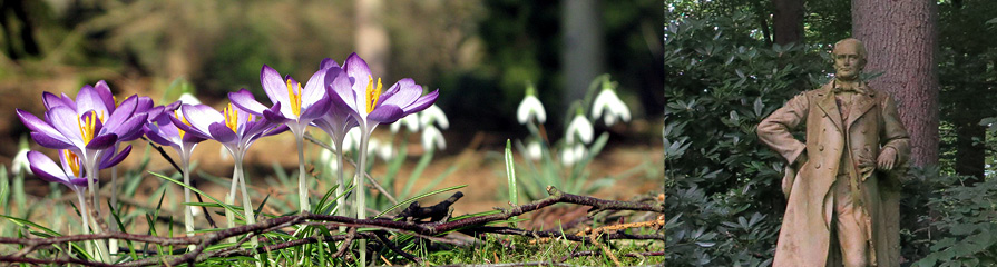 Friedhof Wohldorf