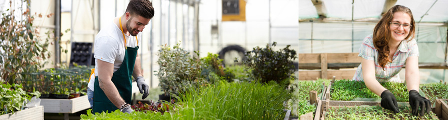 Ausbildung Friedhof Ohlsdorf