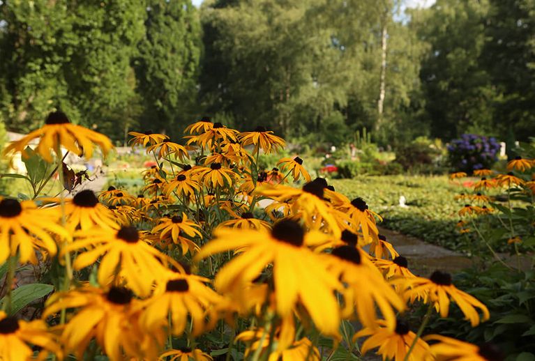 Terrassen am Prökelmoor