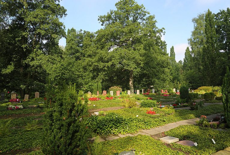 Terrassen am Prökelmoor