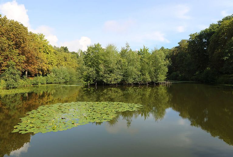 Terrassen am Prökelmoor