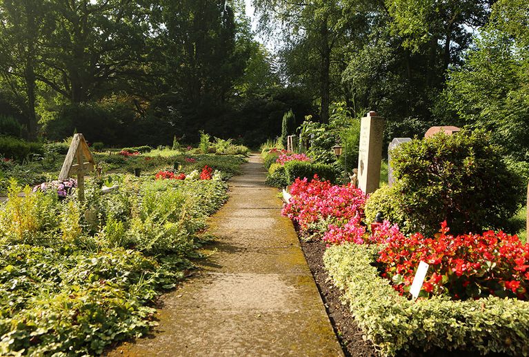 Terrassen am Prökelmoor