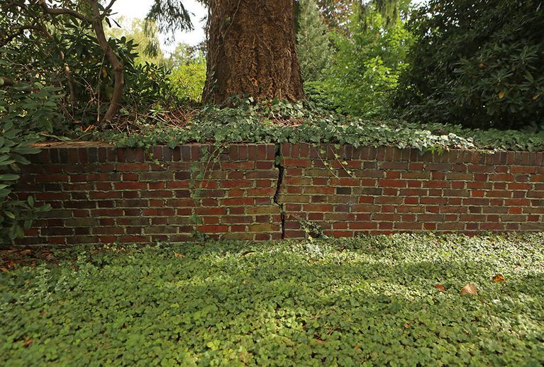 An der historischen Klinkermauer