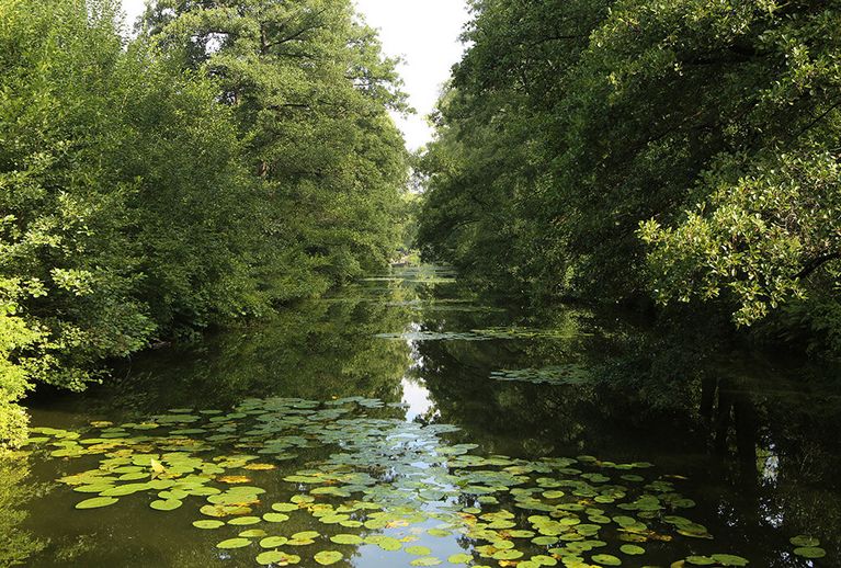 Terrassen am Prökelmoor