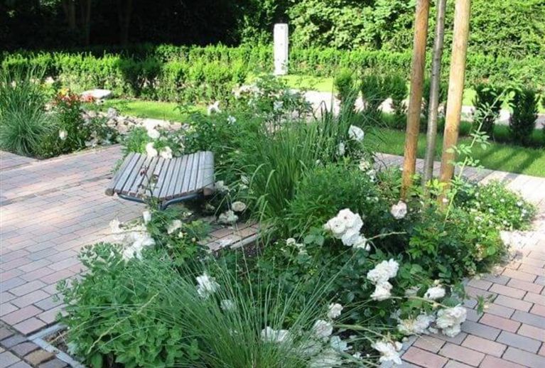 Schmetterlingsgarten